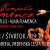 ALMA FLAMENCA v divadle Aréna